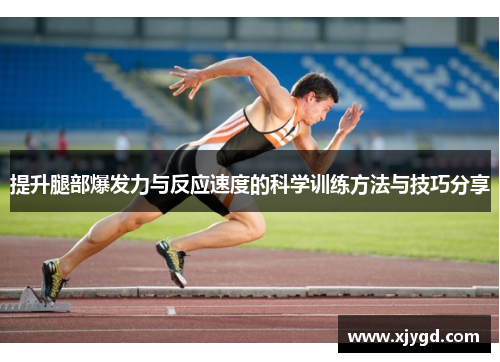 提升腿部爆发力与反应速度的科学训练方法与技巧分享