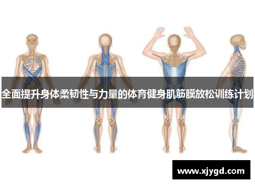 全面提升身体柔韧性与力量的体育健身肌筋膜放松训练计划