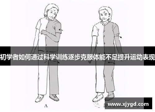 初学者如何通过科学训练逐步克服体能不足提升运动表现