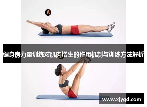 健身房力量训练对肌肉增生的作用机制与训练方法解析