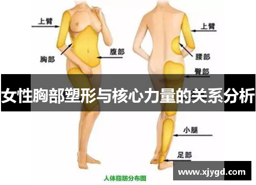 女性胸部塑形与核心力量的关系分析