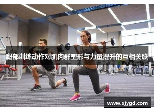 腿部训练动作对肌肉群塑形与力量提升的互相关联